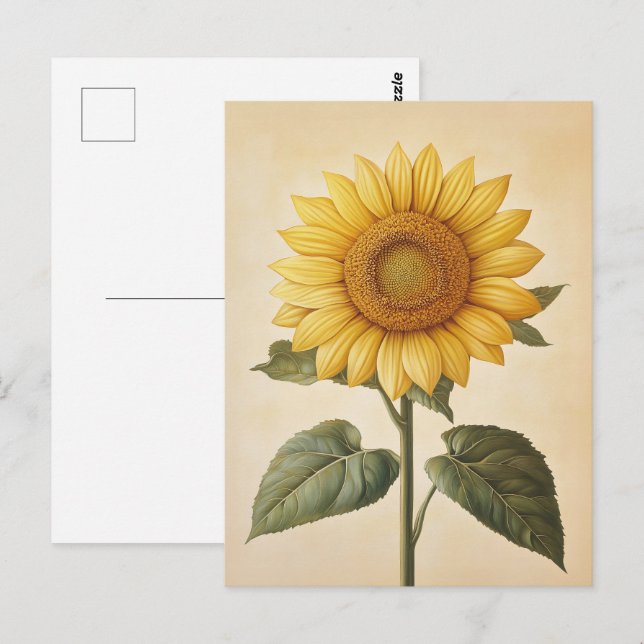 Sunflower Yellow Watercolor Background Postcard (Front/Back)