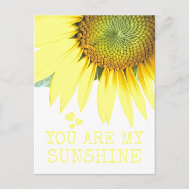 Sunflower You are my Sunshine Cute Valentine's Day Postcard (Front)