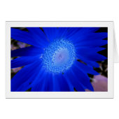 Sunflowers (Front Horizontal)