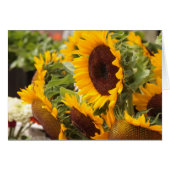 Sunflowers (Front Horizontal)