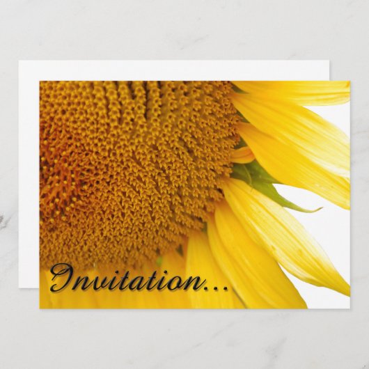 Sunflowers (Front/Back)