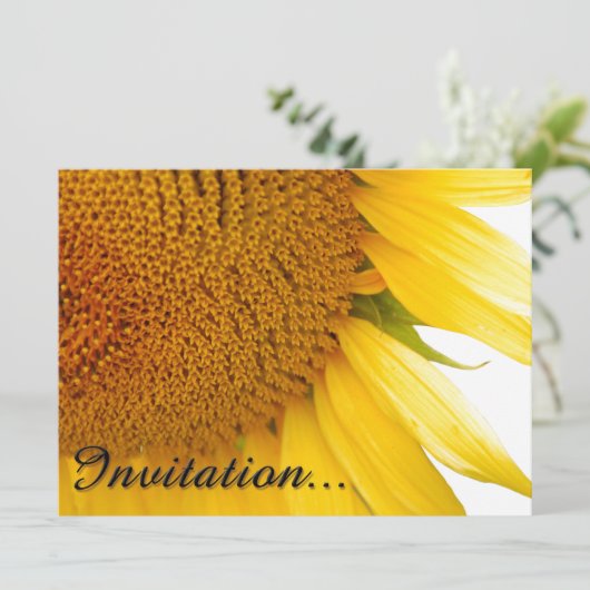 Sunflowers (Standing Front)