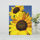 Sunflowers (Standing Front)