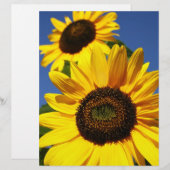 Sunflowers (Front/Back)