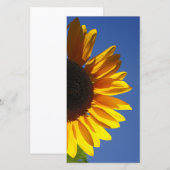 Sunflowers (Front/Back)