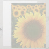 Sunflowers 2 (Front/Back)