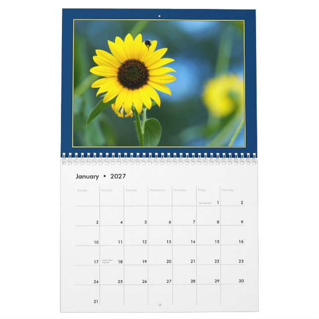 Sunflowers 2011 Calendar (Jan 2027)