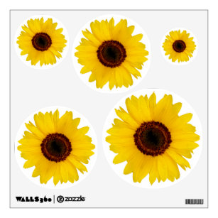 Free Free 191 Sunflower Waterslide Svg SVG PNG EPS DXF File