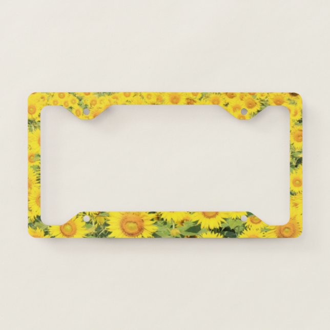 Sunflowers Abruzzo Flowers Summer Sunflower Yello License Plate Frame (Front)