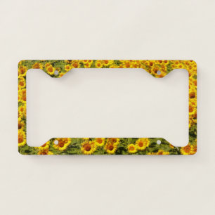 Sunflowers Abruzzo Flowers Summer Sunflower Yello License Plate Frame