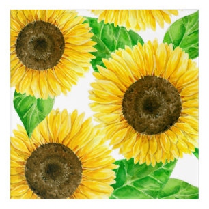 Sunflowers Acrylic Print