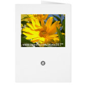 Sunflowers All Occasion Card (Back)