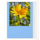 Sunflowers All Occasion Card (Inside (Left))