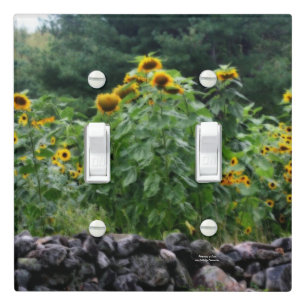 Sunflowers Along Stone Wall Orton Effect  Light Switch Cover