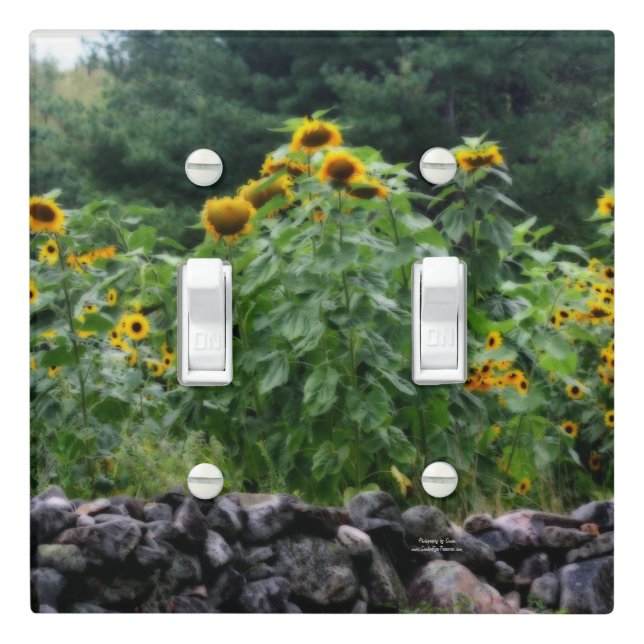 Sunflowers Along Stone Wall Orton Effect  Light Switch Cover (In Situ)
