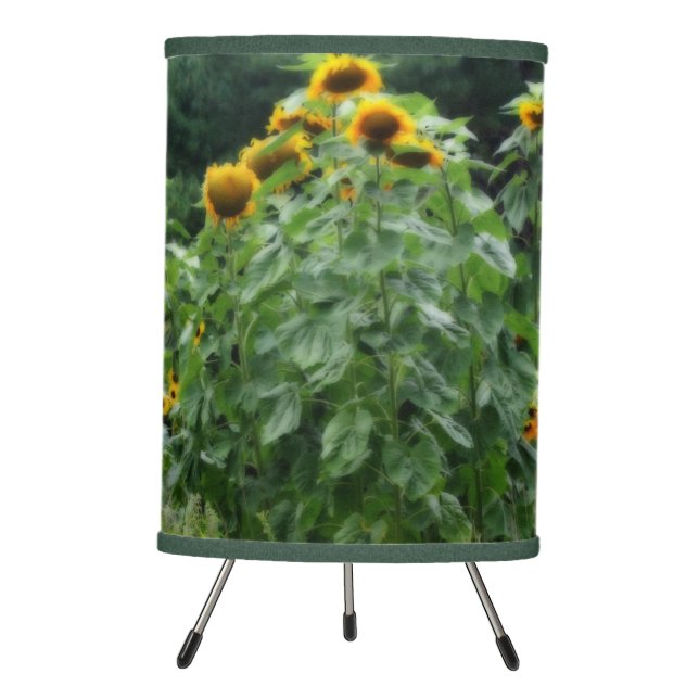 Sunflowers Along Stone Wall Orton Effect   Tripod Lamp (Front)