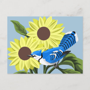 Sunflowers and Blue Jay Postcard