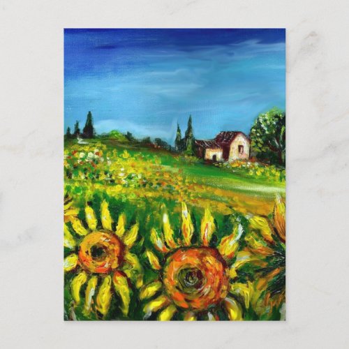 SUNFLOWERS AND COUNTRYSIDE IN TUSCANY POSTCARD