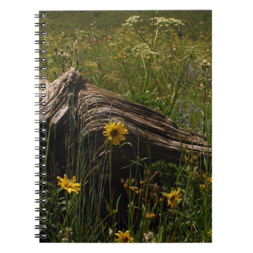 Sunflowers and log notebook