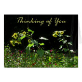 Sunflowers and Wildflowers (Front Horizontal)