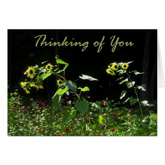 Sunflowers and Wildflowers (Front Horizontal)