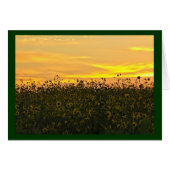 Sunflowers at Dusk (Front Horizontal)