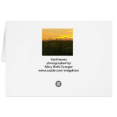 Sunflowers at Dusk Cards (Back Horizontal)