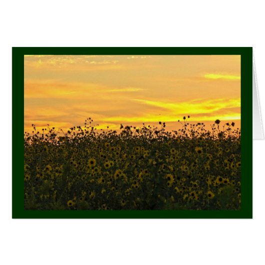 Sunflowers at Dusk Cards (Front Horizontal)