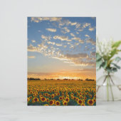 Sunflowers at Sunset (Standing Front)