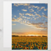 Sunflowers at Sunset (Front/Back)