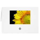 Sunflowers at Sunset Cards (Back Horizontal)
