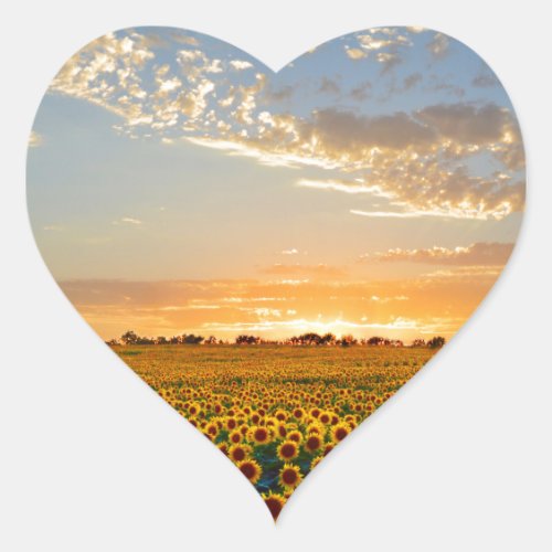 Sunflowers at Sunset Heart Sticker