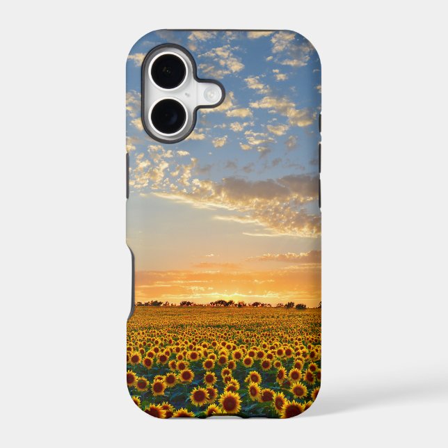 Sunflowers at Sunset Iphone Case (Back)