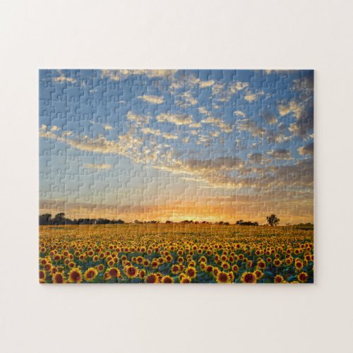 Sunflowers at Sunset Jigsaw Puzzle