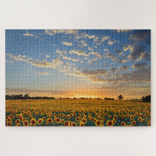 Sunflowers at Sunset Jigsaw Puzzle