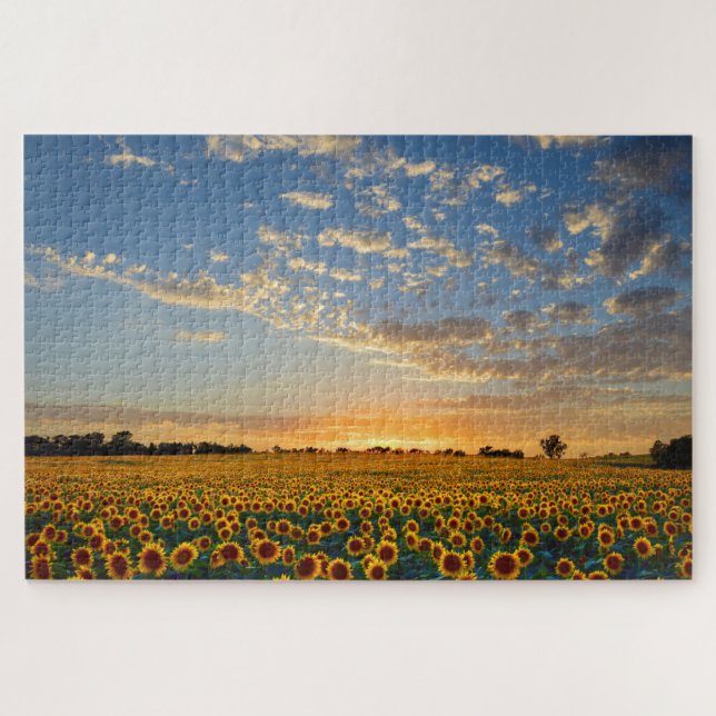 Sunflowers at Sunset Jigsaw Puzzle (Horizontal)
