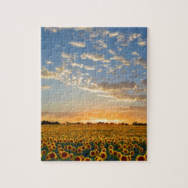 Sunflowers at Sunset Jigsaw Puzzle (Vertical)