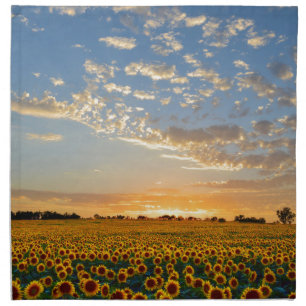 Sunflowers at Sunset Napkin