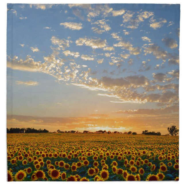 Sunflowers at Sunset Napkin (Front)