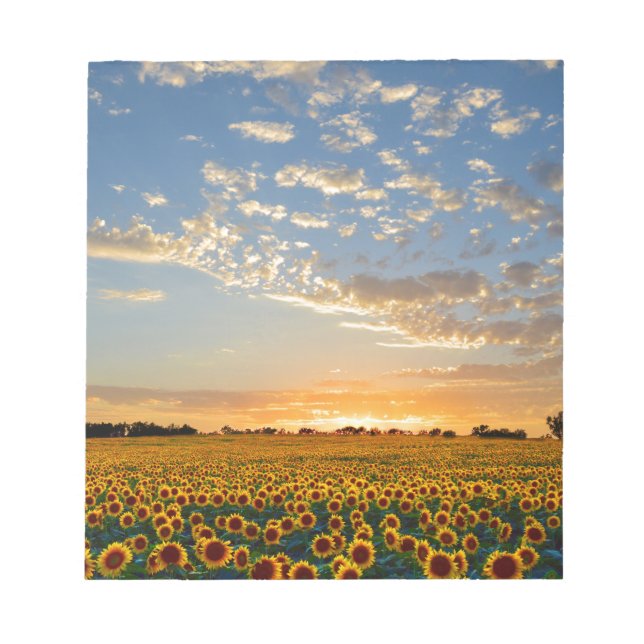 Sunflowers at Sunset Notepad (Front)