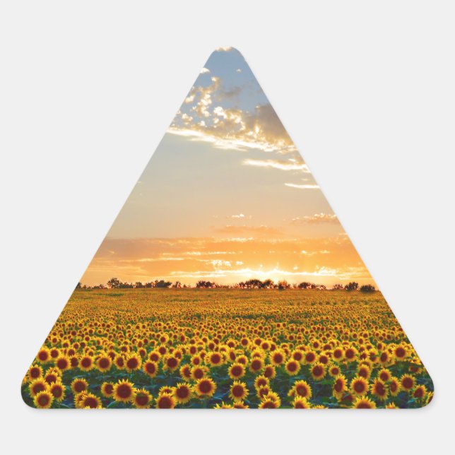 Sunflowers at Sunset Triangle Sticker (Front)