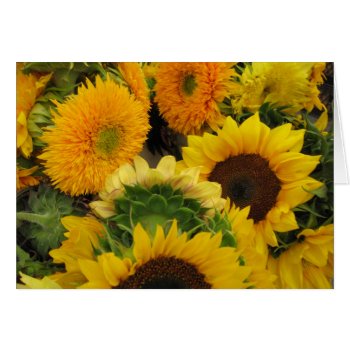 Sunflowers At The Market by judynd at Zazzle