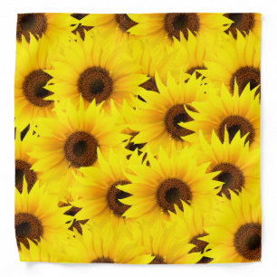 Sunflowers background bandana