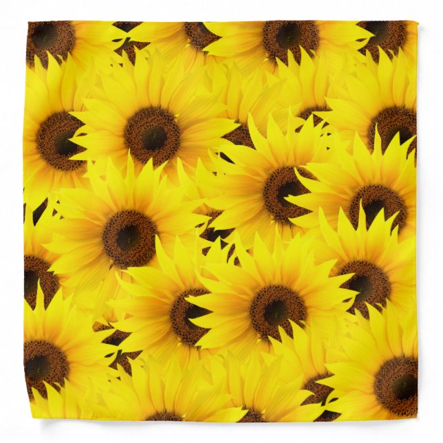 Sunflowers background bandana (Front)