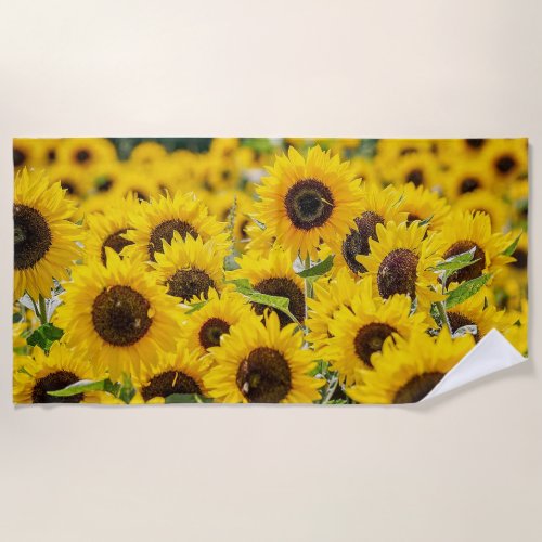 Sunflowers Beach Towel