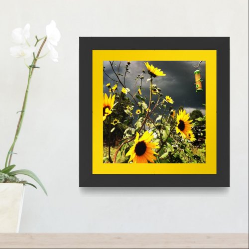 Sunflowers Before Dramatic Storm Clouds Photograph Framed Art