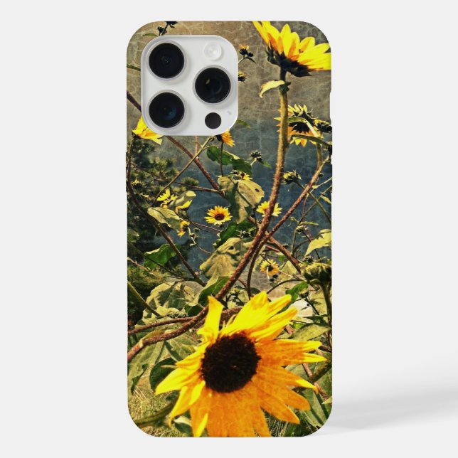 Sunflowers Before The Storm Clouds Iphone Case (Back)