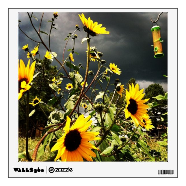 Sunflowers Before The Storm Clouds Photograph Wall Decal (Front)