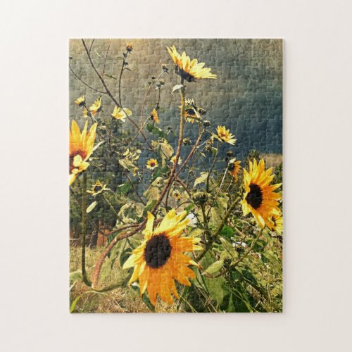 Sunflowers Before The Storm Photograph Jigsaw Puzzle