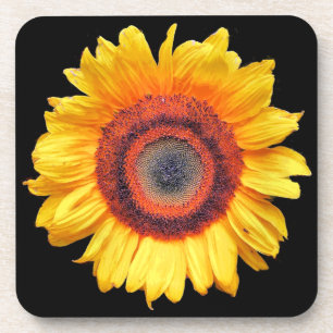 SUNFLOWERS BEVERAGE COASTER